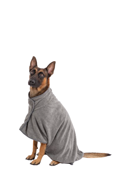 Grooming kit for dogs and puppies with difficult-to-brush coats